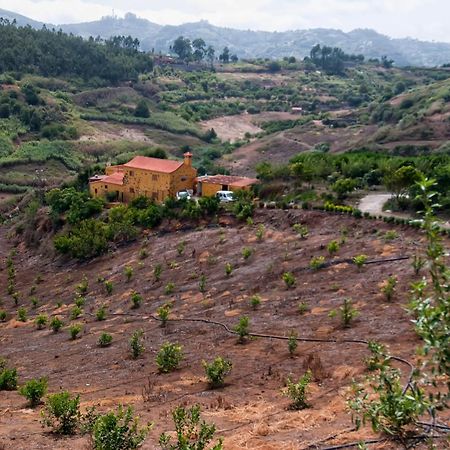 Las Casas De Lola Y Rafael Moya  Εξωτερικό φωτογραφία